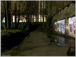 img_0316_5.jpg