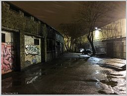 img_0318_7.jpg