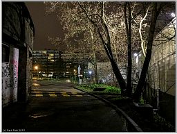 img_0324_13.jpg