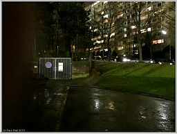 img_0331_19.jpg