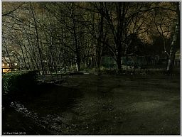 img_0361_37.jpg