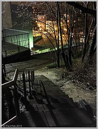 img_0363_39.jpg
