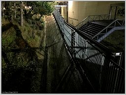 img_0364_40.jpg