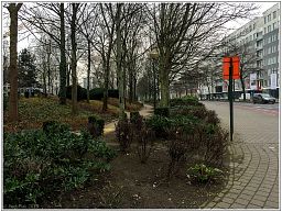 img_6074_39.jpg