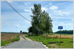 006_7804_3.jpg