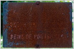 006_7806_5.jpg