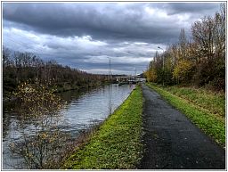 img_5906_95.jpg