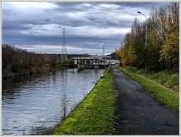 img_5907_96.jpg