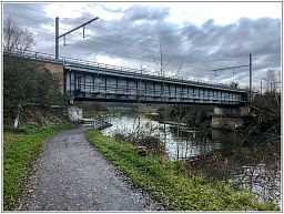img_5910_99.jpg
