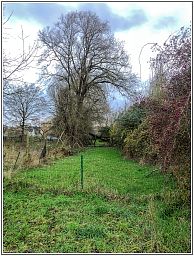 img_5914_103.jpg