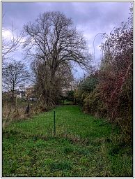 img_5915_104.jpg
