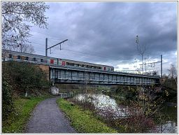 img_5938_125.jpg