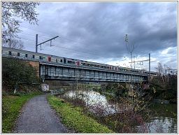 img_5939_126.jpg