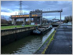 img_5956_141.jpg