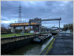 img_5959_144.jpg