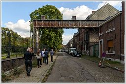 006_9593_1.jpg