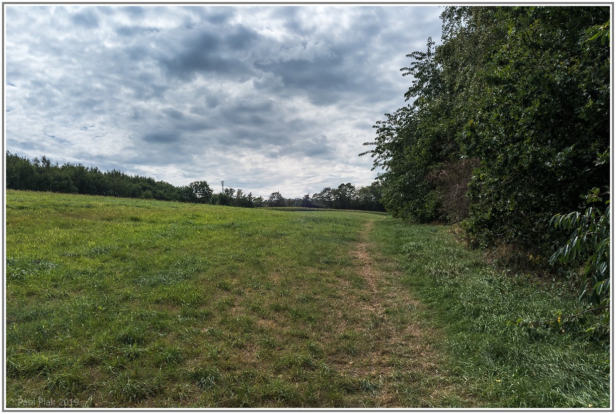 DXO_0724.jpg
