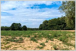 dxo_0650_6.jpg