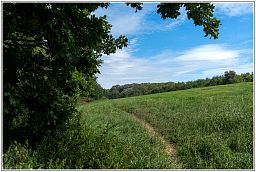 dxo_0667_15.jpg