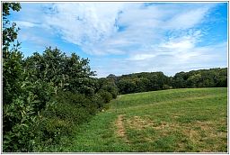 dxo_0669_17.jpg