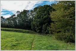 dxo_0671_19.jpg