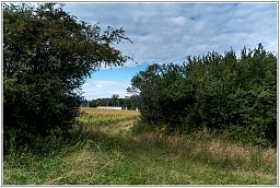 dxo_0689_39.jpg