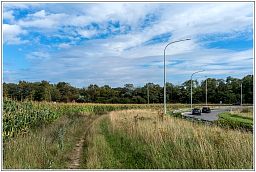 dxo_0698_47.jpg