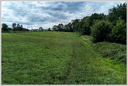 dxo_0719_67.jpg