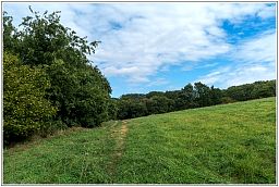 dxo_0721_69.jpg