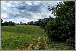 dxo_0722_70.jpg