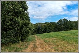 dxo_0723_71.jpg