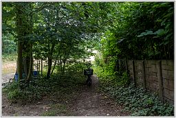 dxo_0769_93.jpg
