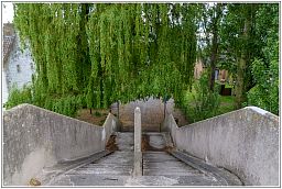 008_6344_37.jpg