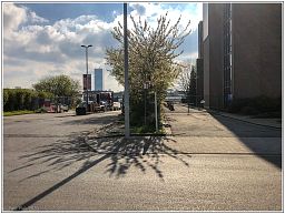 img_4309_27.jpg