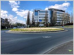 img_4358_75.jpg
