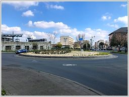 img_4374_90.jpg