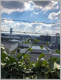 img_4378_94.jpg