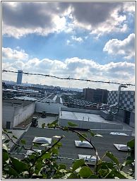 img_4379_95.jpg
