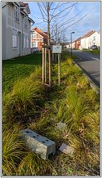 008_7901_64.jpg