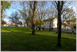 008_7927_89.jpg