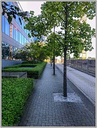 img_012615_5.jpg
