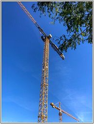 img_012619_9.jpg
