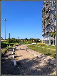 img_012629_19.jpg