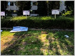 img_012631_21.jpg