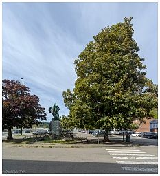 010_0727pano_138.jpg