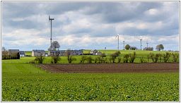 005_9449_4.jpg