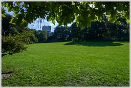 005_4969_124.jpg