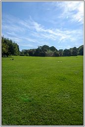 005_4980_136.jpg
