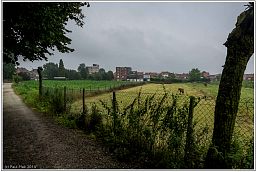 004_1786_41.jpg