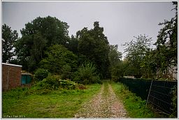 004_2660_51.jpg